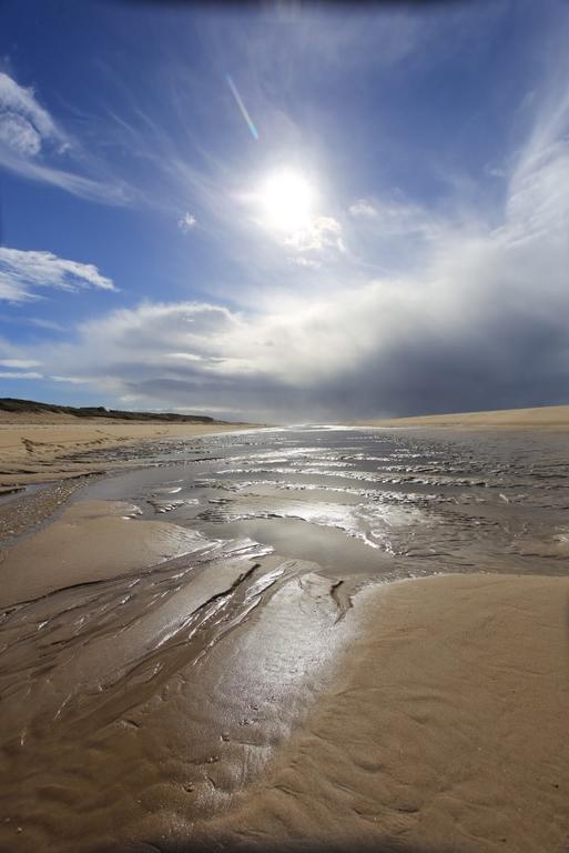 Le Lodge Du Cap Ferret Lège-Cap-Ferret Zewnętrze zdjęcie